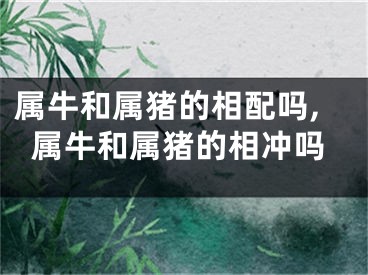 属牛和属猪的相配吗,属牛和属猪的相冲吗