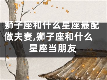 狮子座和什么星座最配做夫妻,狮子座和什么星座当朋友