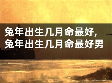 兔年出生几月命最好,兔年出生几月命最好男