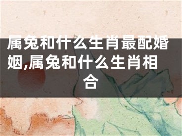 属兔和什么生肖最配婚姻,属兔和什么生肖相合