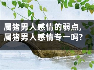 属猪男人感情的弱点,属猪男人感情专一吗?