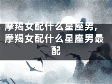 摩羯女配什么星座男,摩羯女配什么星座男最配