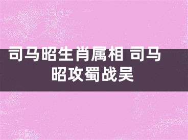 司马昭生肖属相 司马昭攻蜀战吴