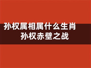 孙权属相属什么生肖 孙权赤壁之战