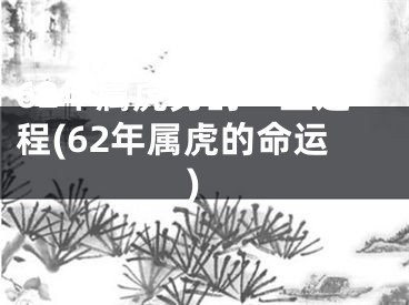 62年属虎男的一生运程(62年属虎的命运)