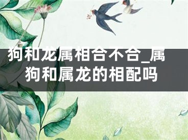 狗和龙属相合不合_属狗和属龙的相配吗