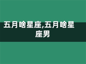 五月啥星座,五月啥星座男