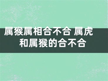 属猴属相合不合 属虎和属猴的合不合