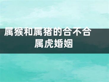 属猴和属猪的合不合 属虎婚姻