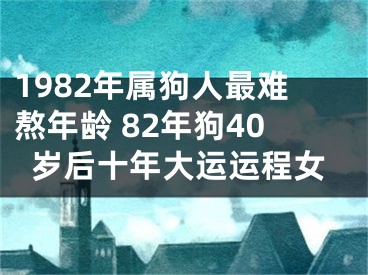 1982年属狗人最难熬年龄 82年狗40岁后十年大运运程女