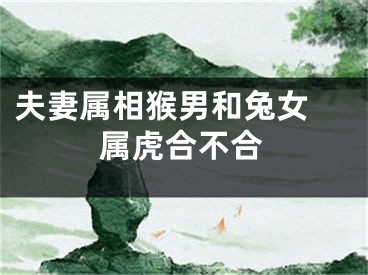 夫妻属相猴男和兔女 属虎合不合
