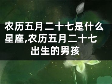 农历五月二十七是什么星座,农历五月二十七出生的男孩