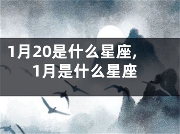 1月20是什么星座,1月是什么星座