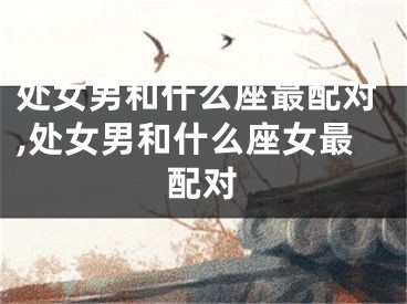 处女男和什么座最配对,处女男和什么座女最配对
