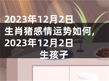 2023年12月2日生肖猪感情运势如何,2023年12月2日生孩子