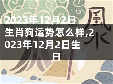 2023年12月2日生肖狗运势怎么样,2023年12月2日生日
