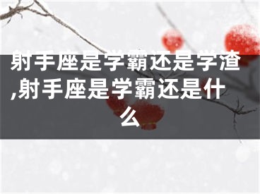 射手座是学霸还是学渣,射手座是学霸还是什么