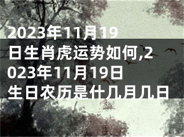 2023年11月19日生肖虎运势如何,2023年11月19日生日农历是什几月几日