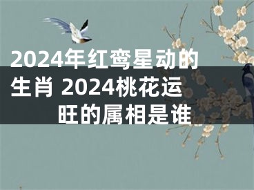 2024年红鸾星动的生肖 2024桃花运旺的属相是谁