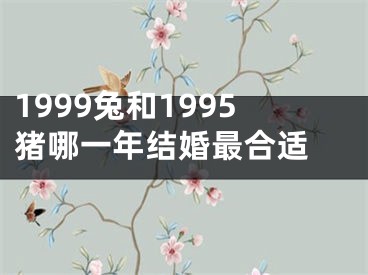 1999兔和1995猪哪一年结婚最合适 