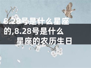 8.28号是什么星座的,8.28号是什么星座的农历生日