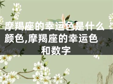 摩羯座的幸运色是什么颜色,摩羯座的幸运色和数字