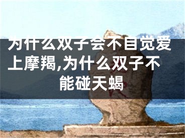 为什么双子会不自觉爱上摩羯,为什么双子不能碰天蝎
