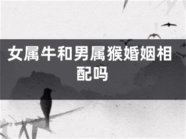 女属牛和男属猴婚姻相配吗