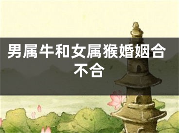 男属牛和女属猴婚姻合不合