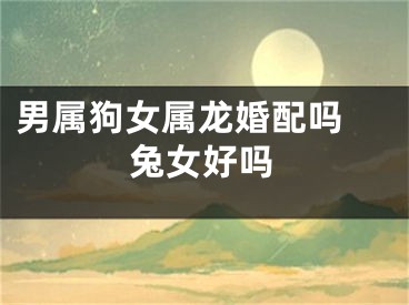 男属狗女属龙婚配吗 兔女好吗