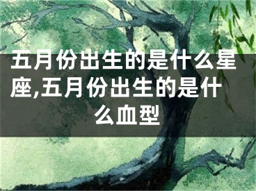 五月份出生的是什么星座,五月份出生的是什么血型