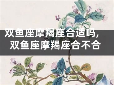 双鱼座摩羯座合适吗,双鱼座摩羯座合不合