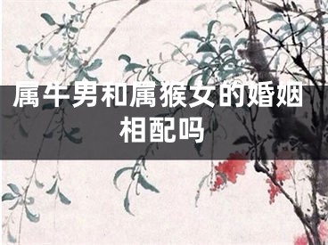 属牛男和属猴女的婚姻相配吗