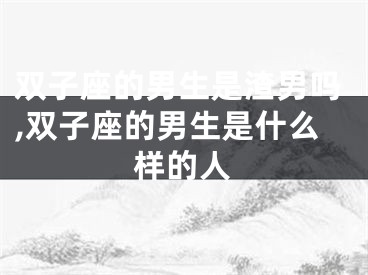 双子座的男生是渣男吗,双子座的男生是什么样的人