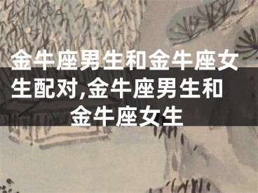 金牛座男生和金牛座女生配对,金牛座男生和金牛座女生