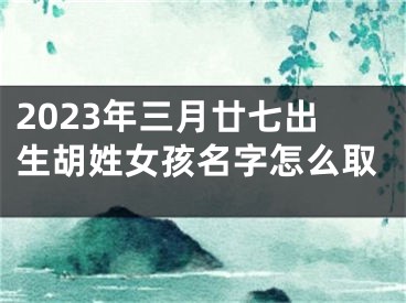 2023年三月廿七出生胡姓女孩名字怎么取