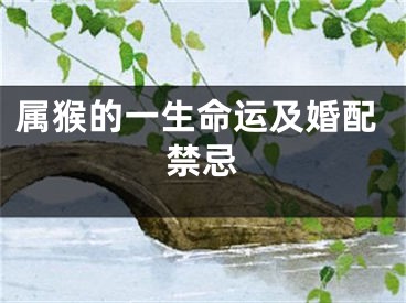 属猴的一生命运及婚配禁忌