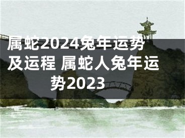 属蛇2024兔年运势及运程 属蛇人兔年运势2023