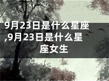 9月23日是什么星座,9月23日是什么星座女生