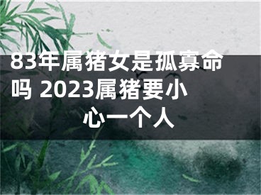 83年属猪女是孤寡命吗 2023属猪要小心一个人