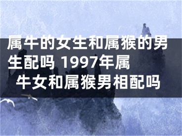 属牛的女生和属猴的男生配吗 1997年属牛女和属猴男相配吗