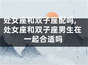 处女座和双子座配吗,处女座和双子座男生在一起合适吗