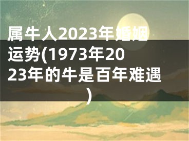 属牛人2023年婚姻运势(1973年2023年的牛是百年难遇)