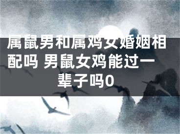 属鼠男和属鸡女婚姻相配吗 男鼠女鸡能过一辈子吗0