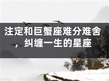 注定和巨蟹座难分难舍，纠缠一生的星座