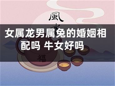 女属龙男属兔的婚姻相配吗 牛女好吗