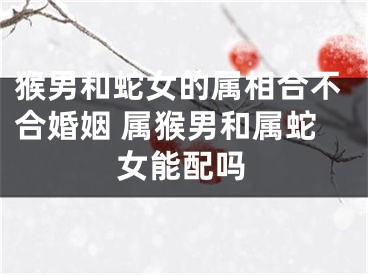 猴男和蛇女的属相合不合婚姻 属猴男和属蛇女能配吗