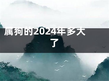 属狗的2024年多大了
