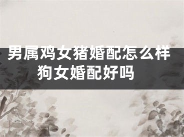 男属鸡女猪婚配怎么样 狗女婚配好吗