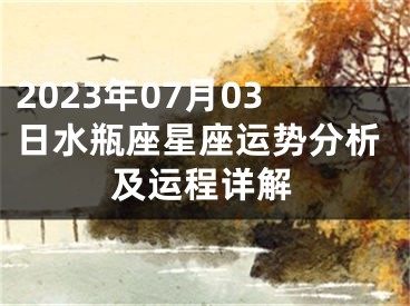 2023年07月03日水瓶座星座运势分析及运程详解